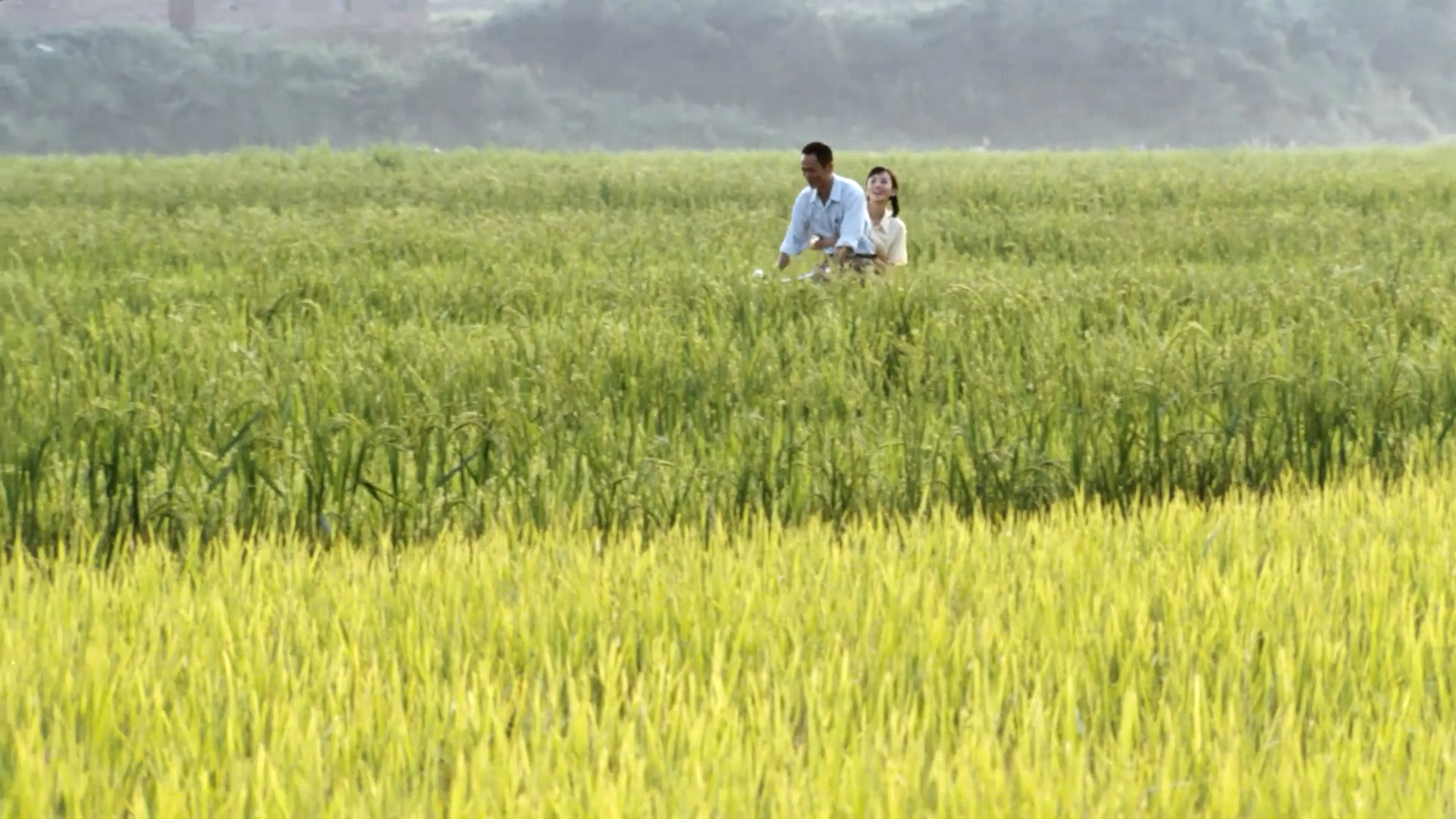 袁隆平剧照的剧照