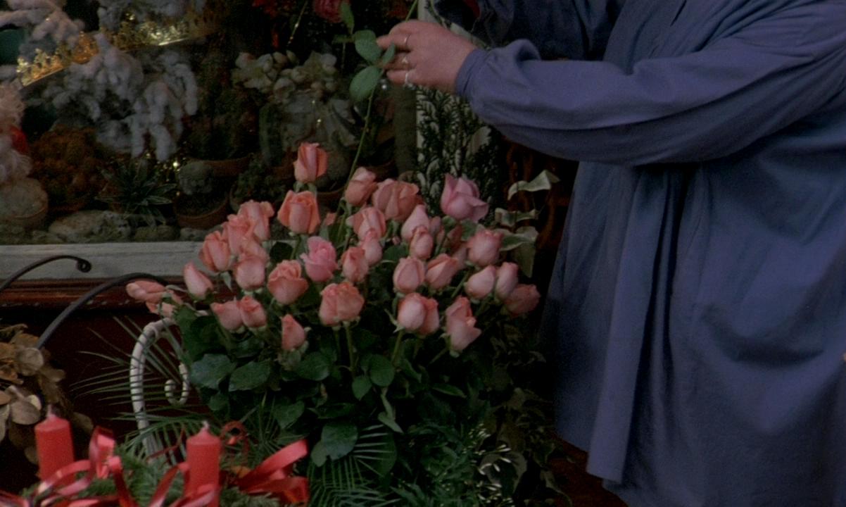 月神的宠儿剧照的剧照