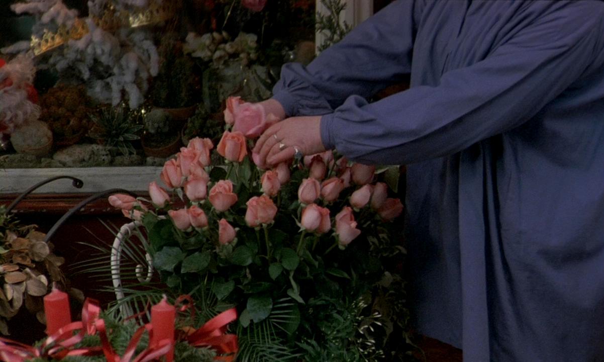 月神的宠儿剧照的剧照