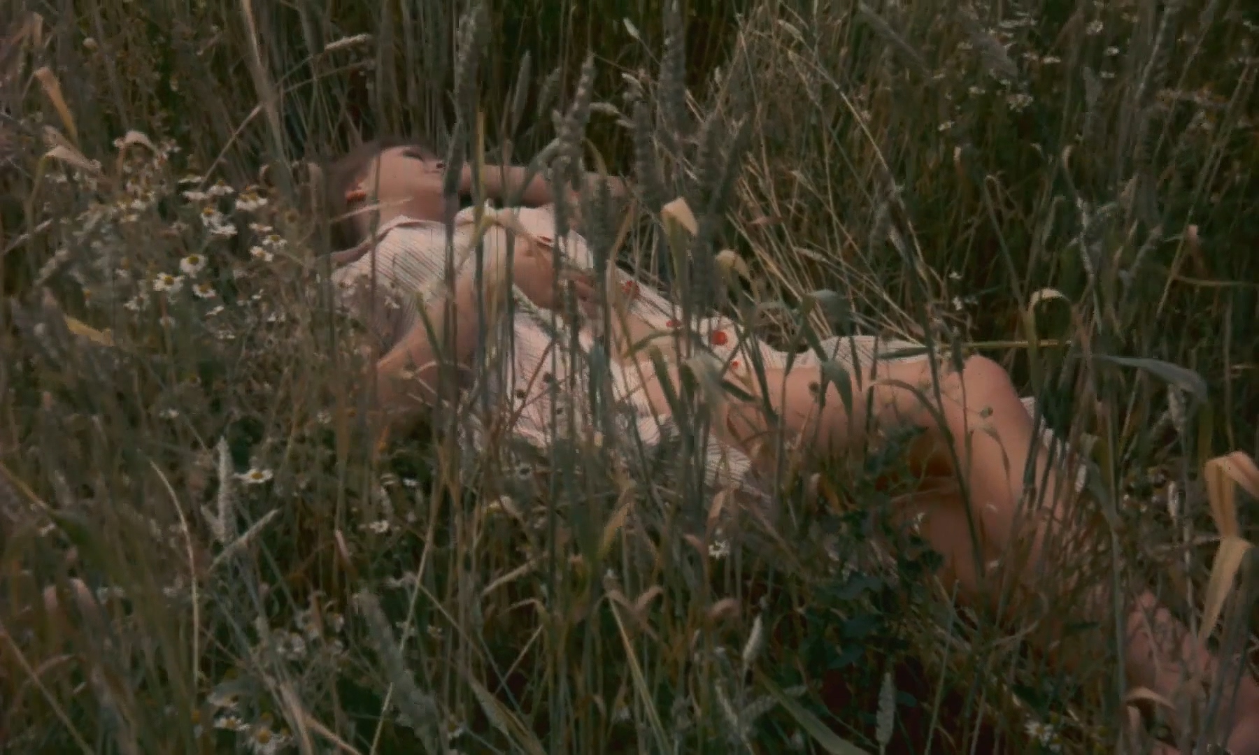 暴露剧照的剧照