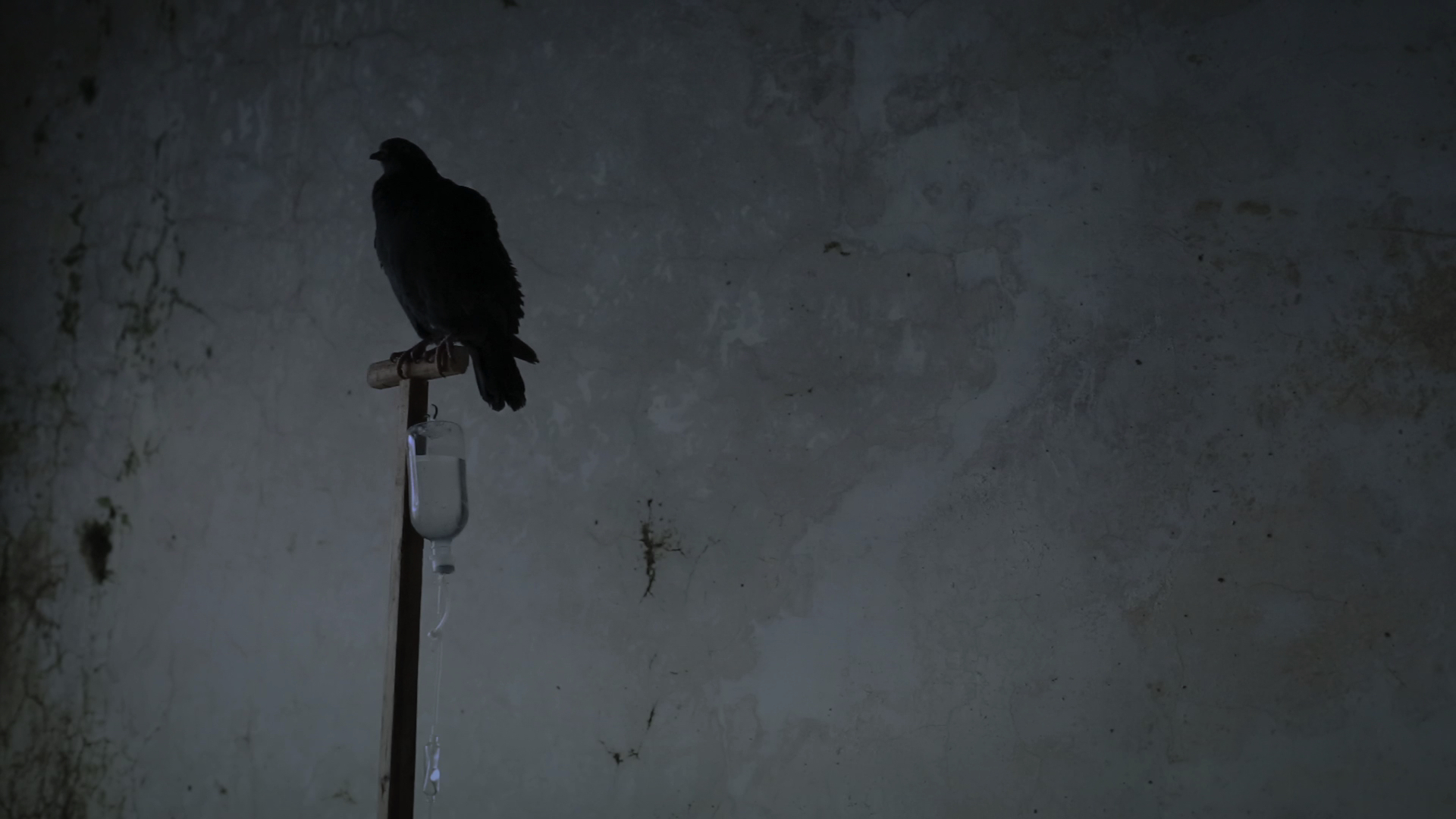 2×2＝4剧照的剧照