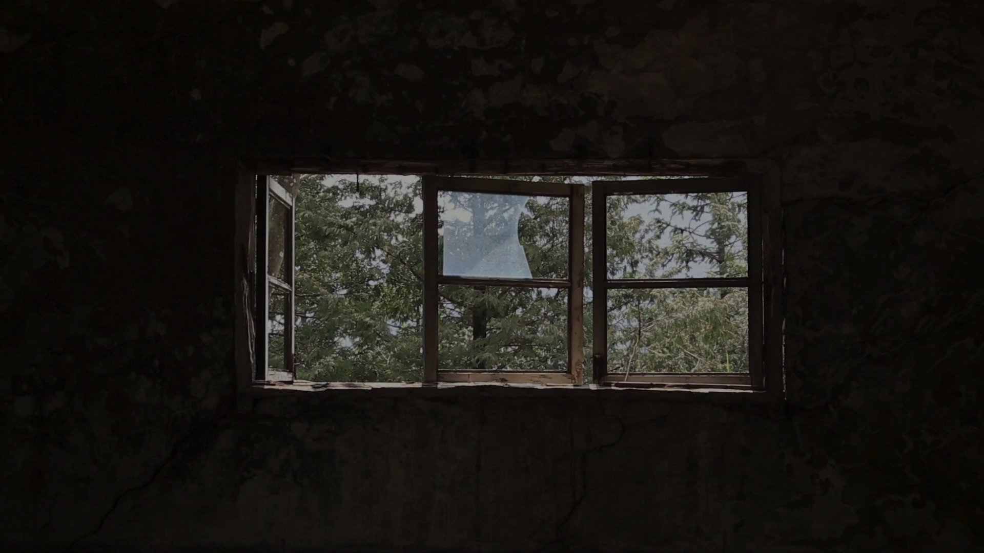 2×2＝4剧照的剧照