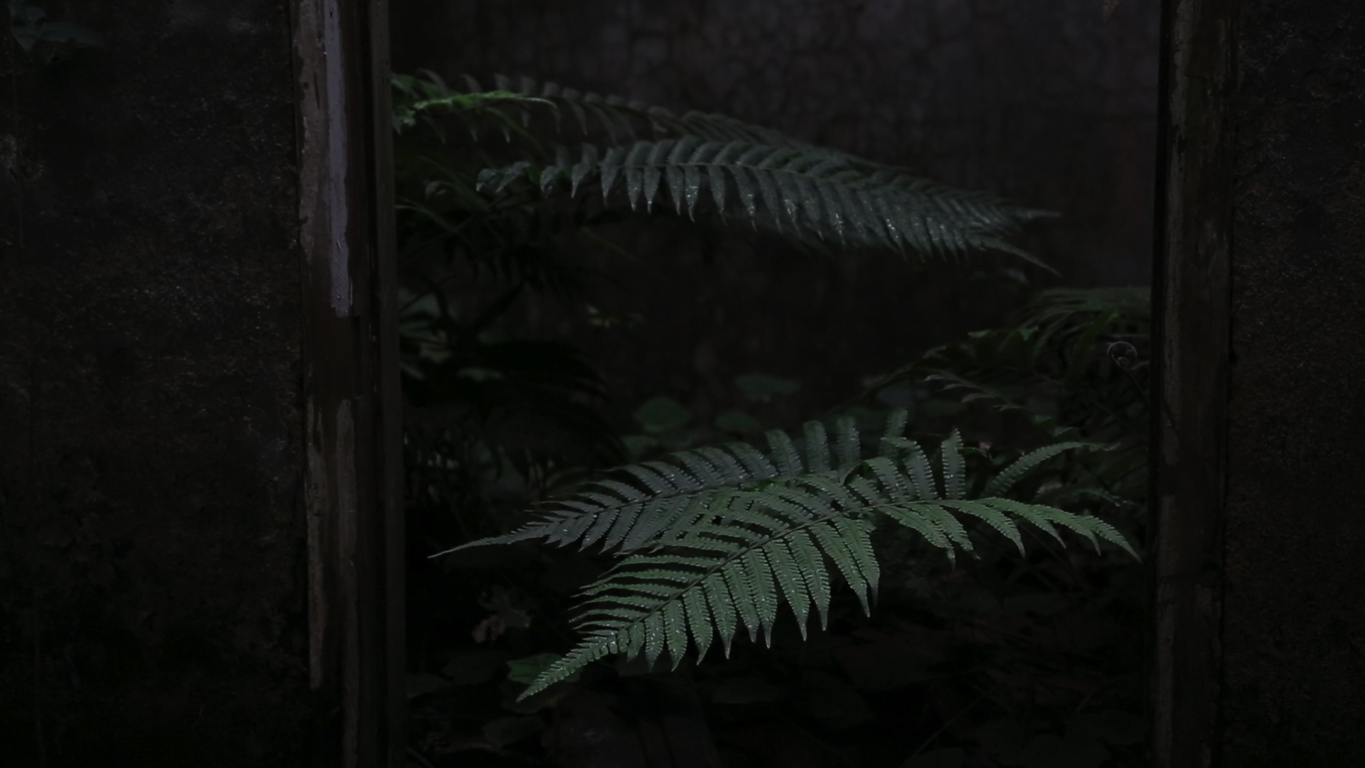 2×2＝4剧照的剧照