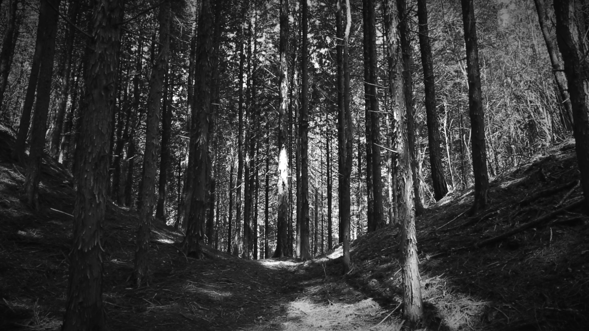 2×2＝4剧照的剧照