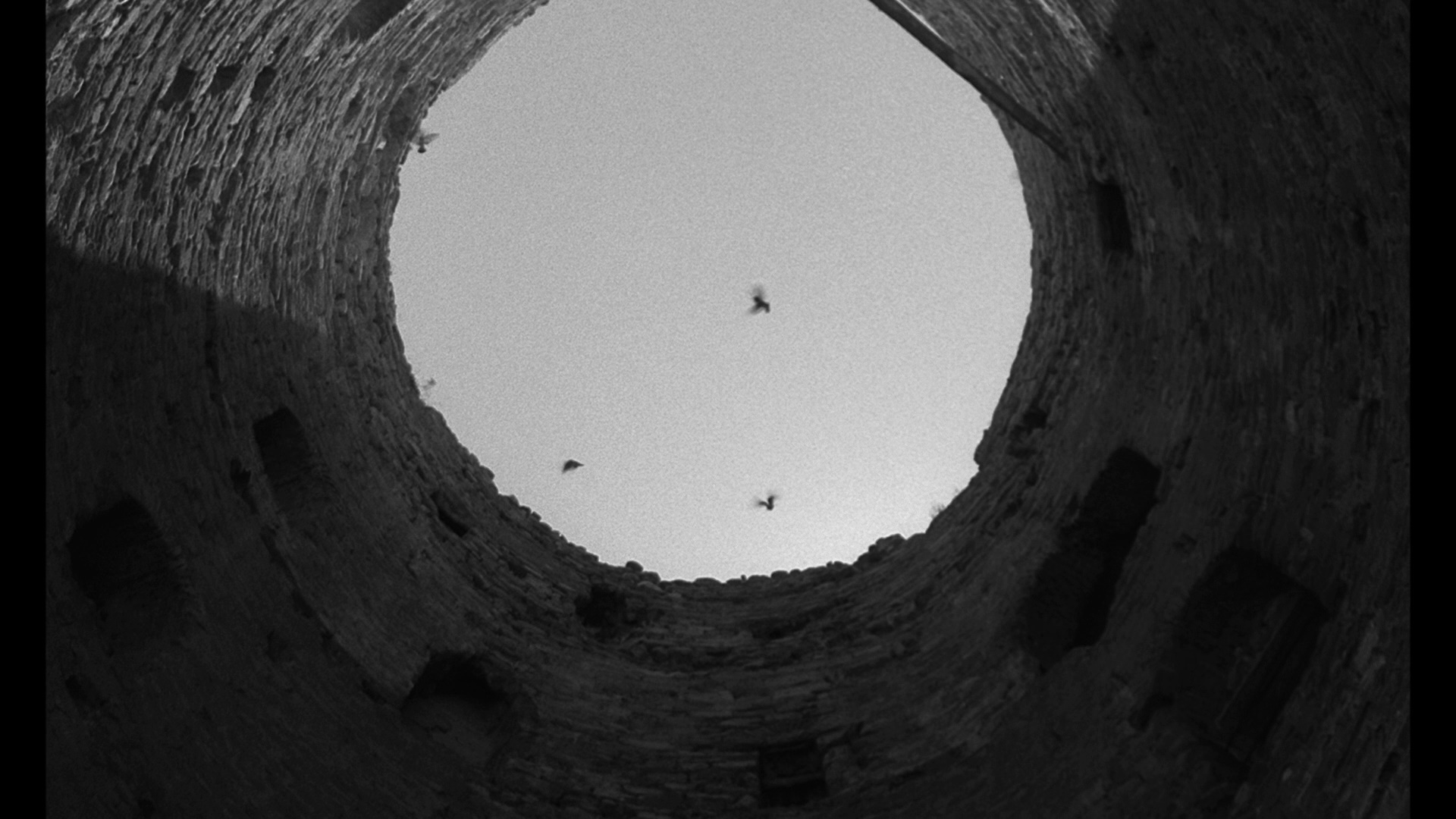 不朽的女人剧照的剧照