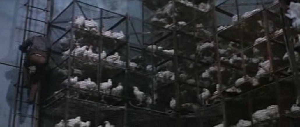 大飞贼剧照的剧照