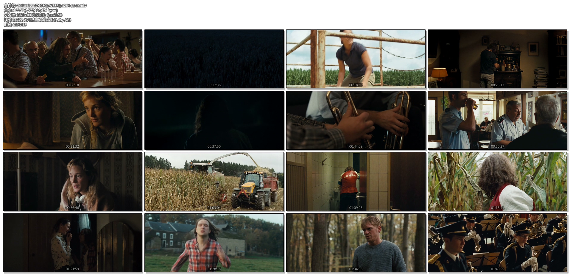 古特兰小镇剧照的剧照