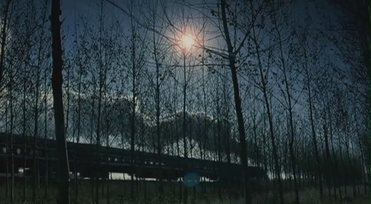 停车剧照的剧照