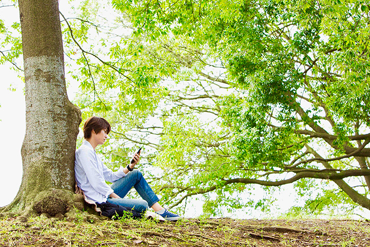 向阳之处必有声剧照的剧照