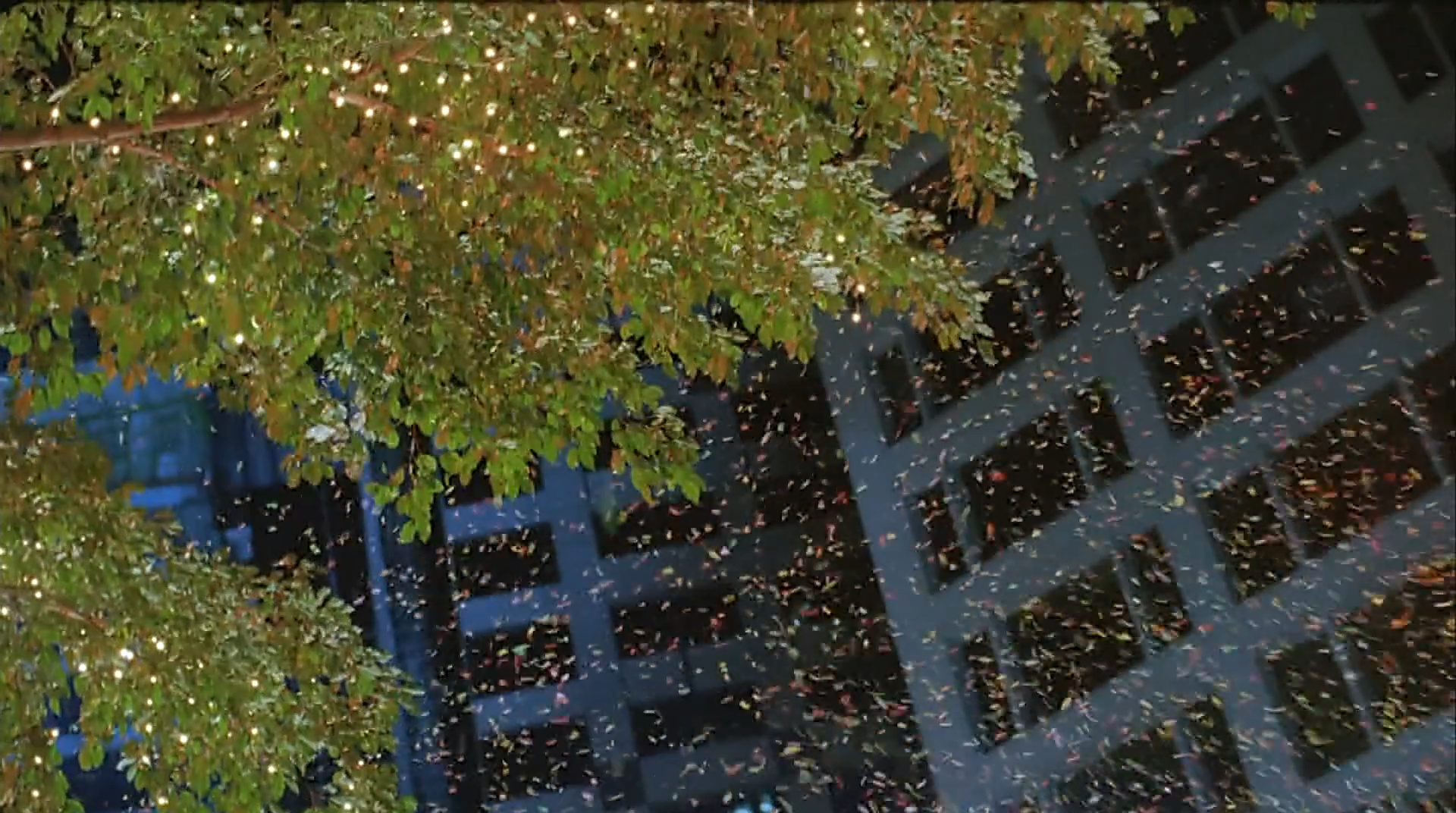 两个只能活一个剧照的剧照