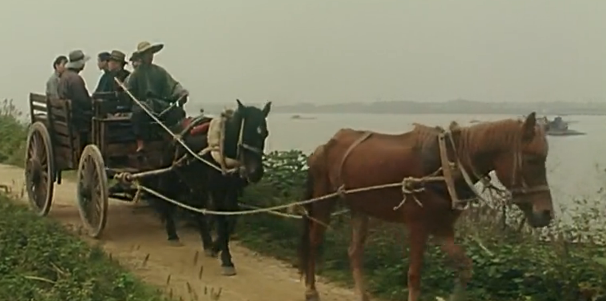 金秋桂花迟剧照的剧照