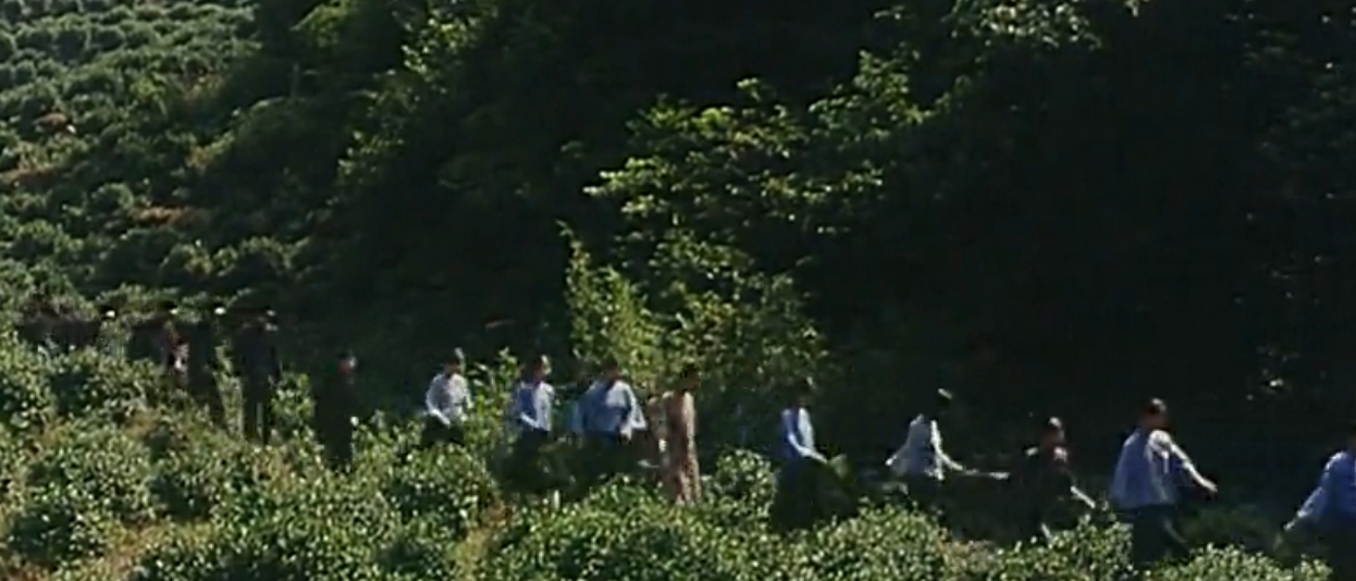 金秋桂花迟剧照的剧照