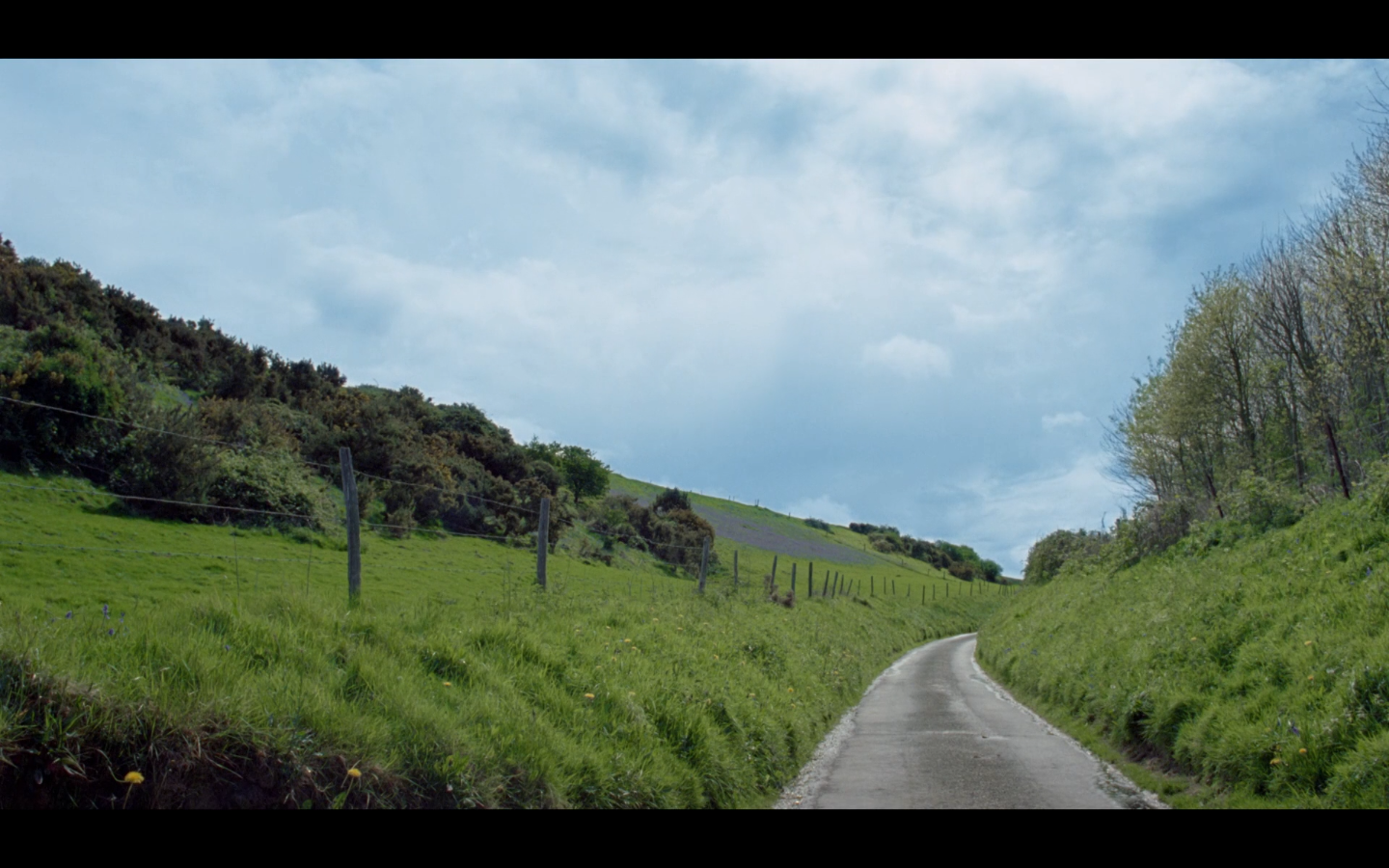 夏末剧照的剧照