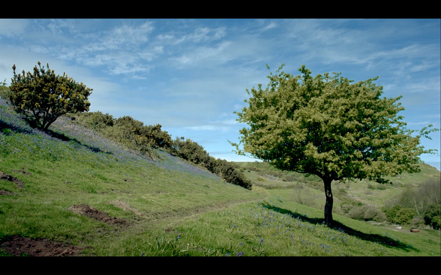 夏末剧照的剧照