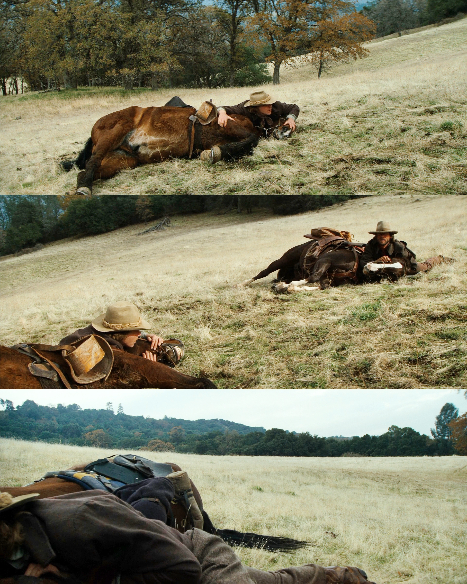 西部执法者剧照的剧照