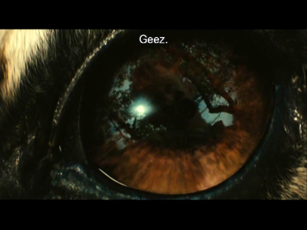 稻草狗剧照的剧照