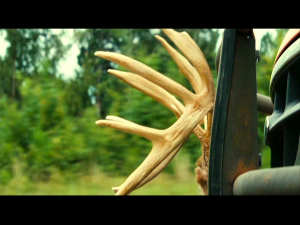 稻草狗剧照的剧照