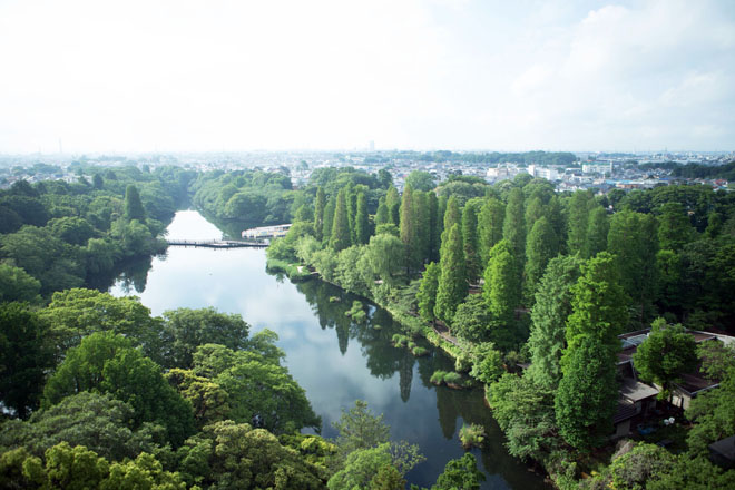 公园剧照的剧照