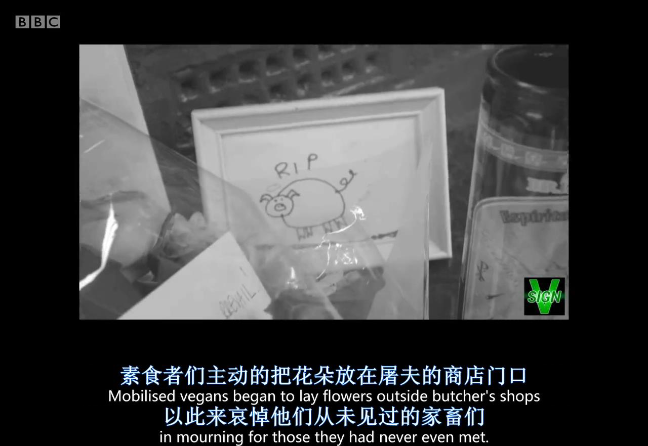 大屠杀：吞噬过去剧照的剧照