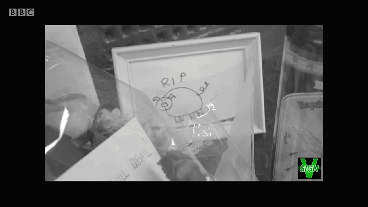 大屠杀：吞噬过去剧照的剧照