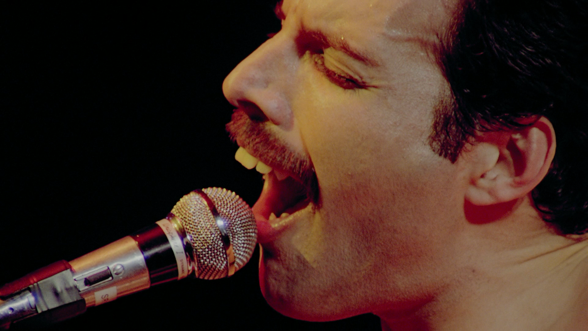 皇后乐队蒙特利尔现场演唱会剧照的剧照