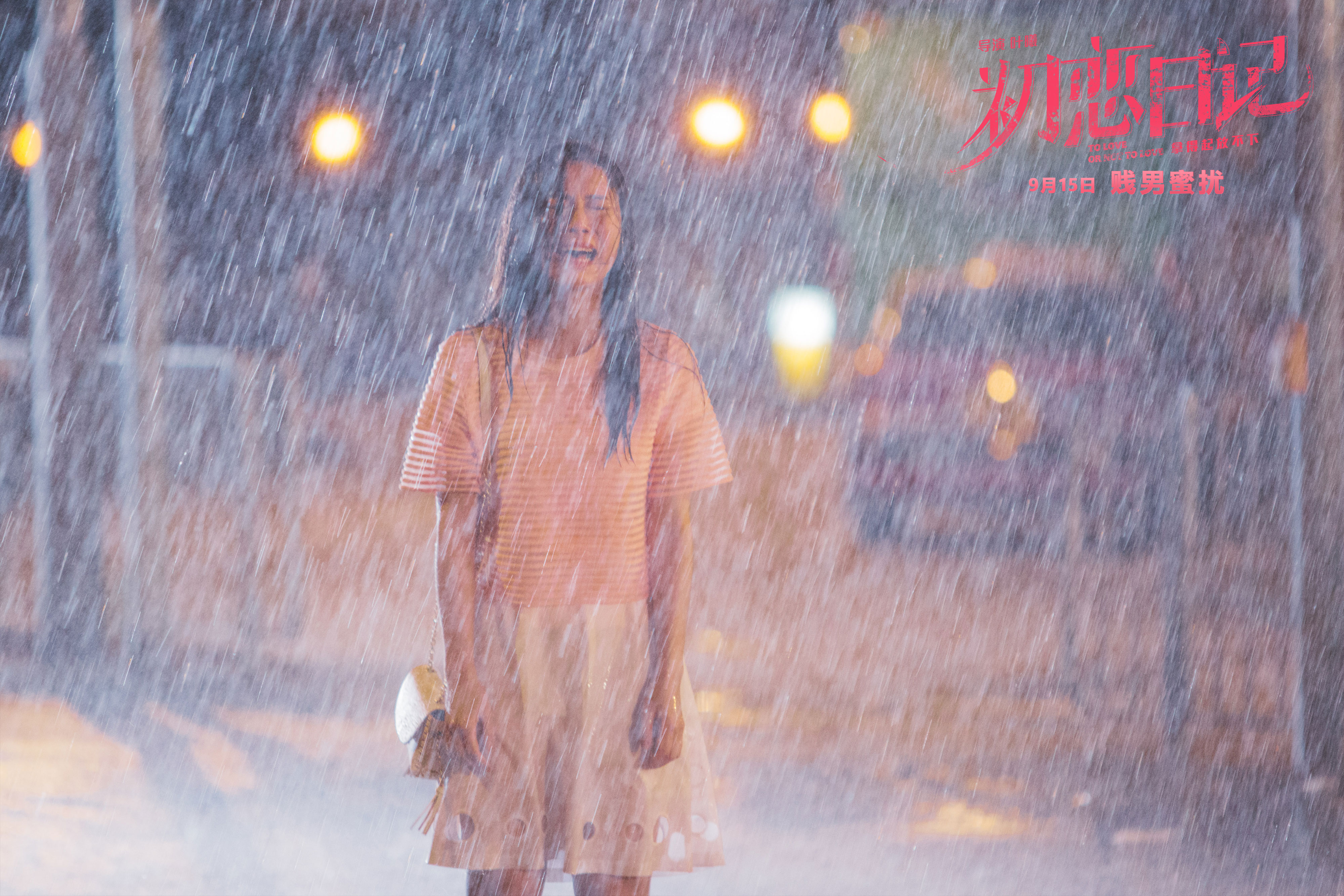 初恋日记剧照的剧照