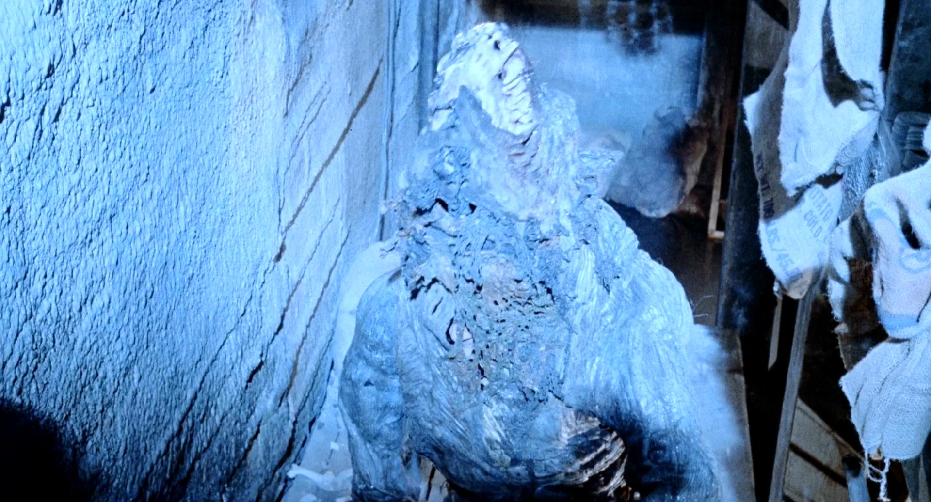 地窖怪客剧照的剧照