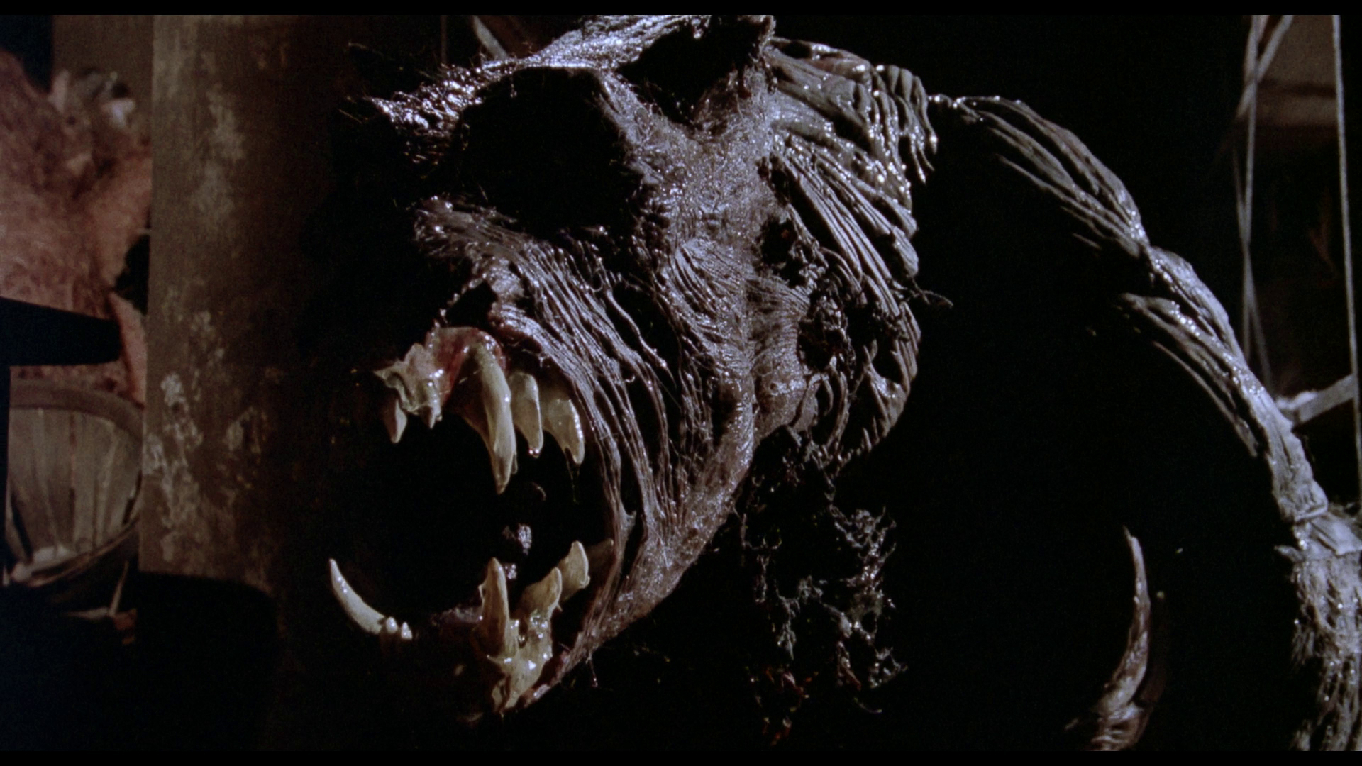 地窖怪客剧照的剧照