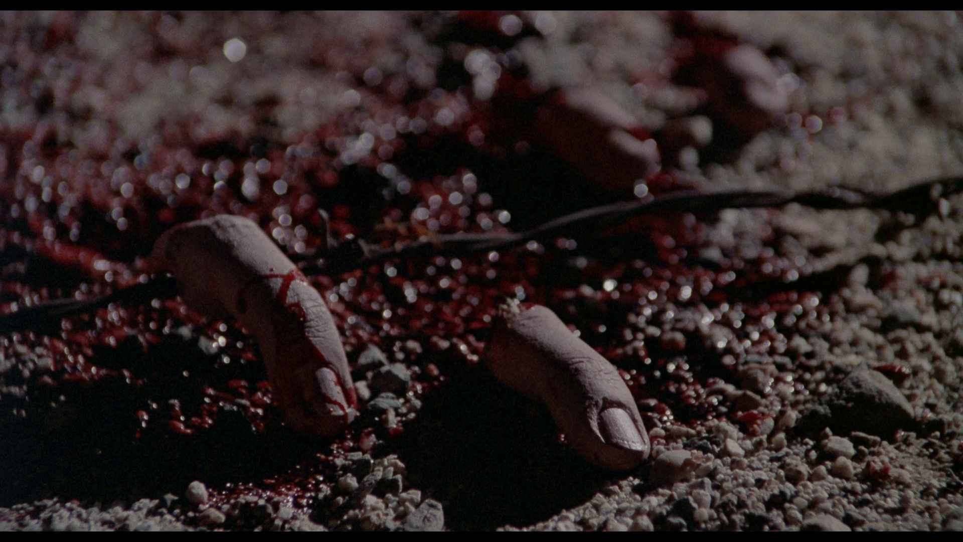 地窖怪客剧照的剧照