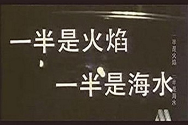 一半是火焰，一半是海水剧照的剧照