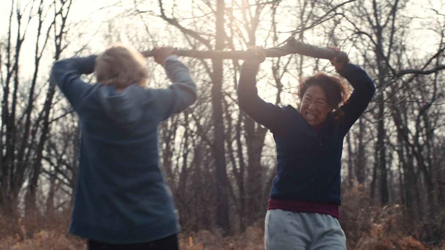 女斗剧照的剧照