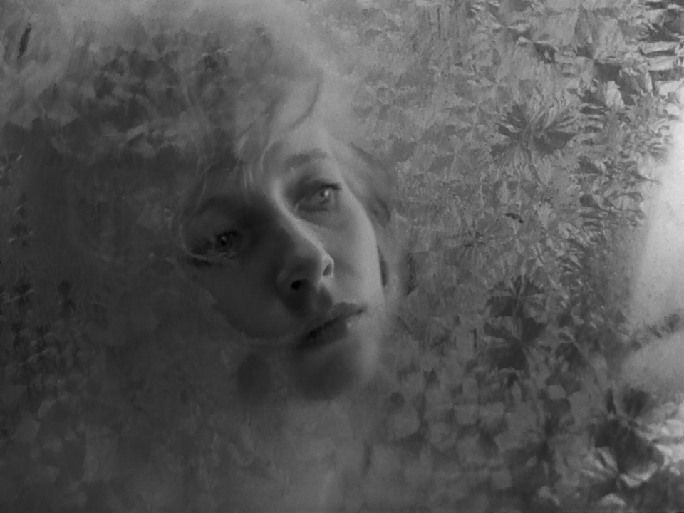 我的二十世纪剧照的剧照