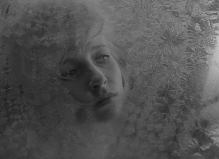 我的二十世纪剧照的剧照