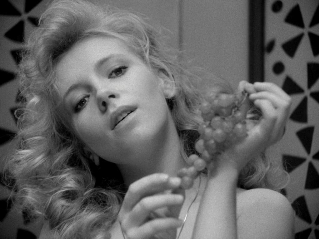 我的二十世纪剧照的剧照