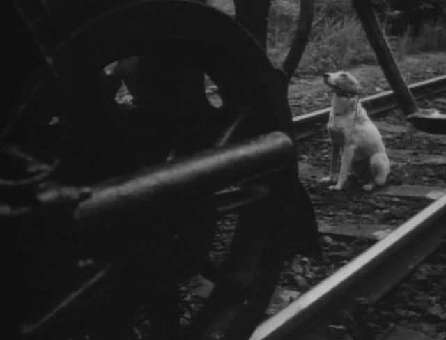 我的二十世纪剧照的剧照