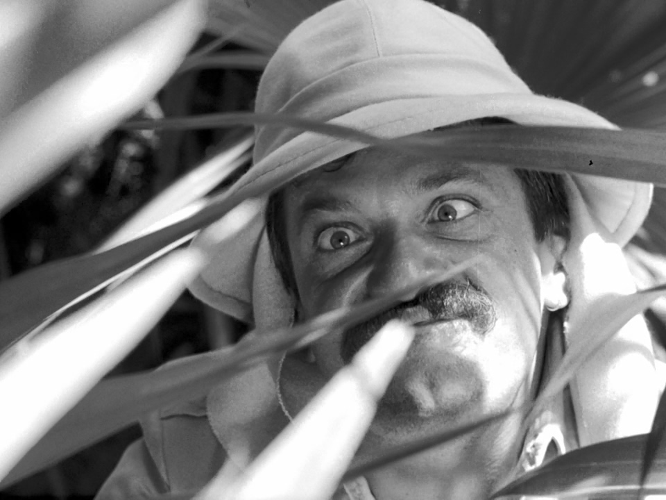 我的二十世纪剧照的剧照