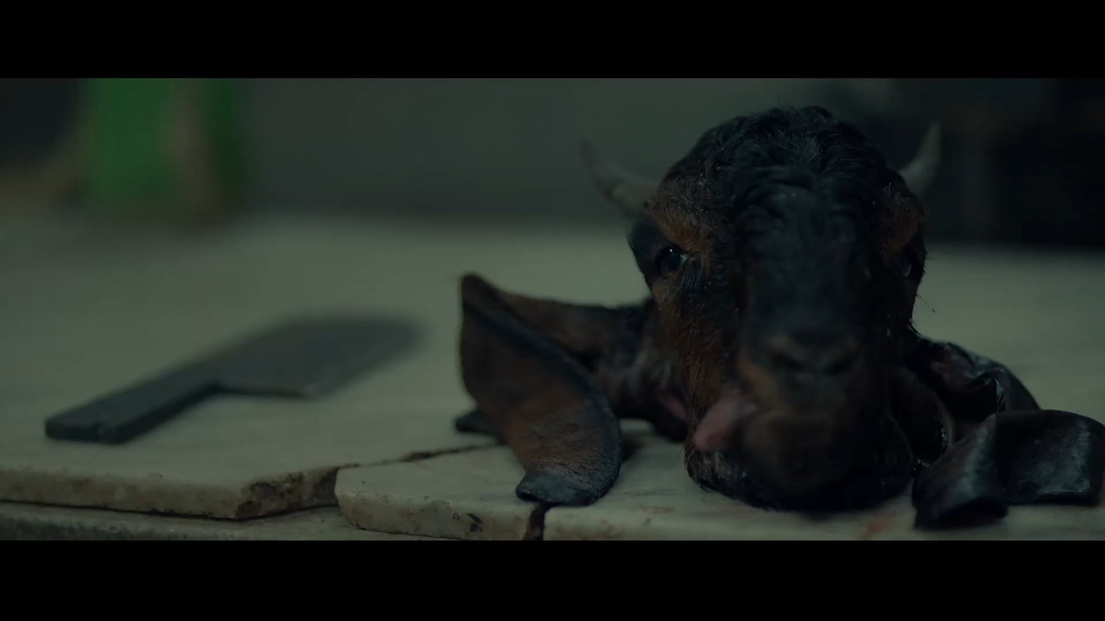 外婆剧照的剧照