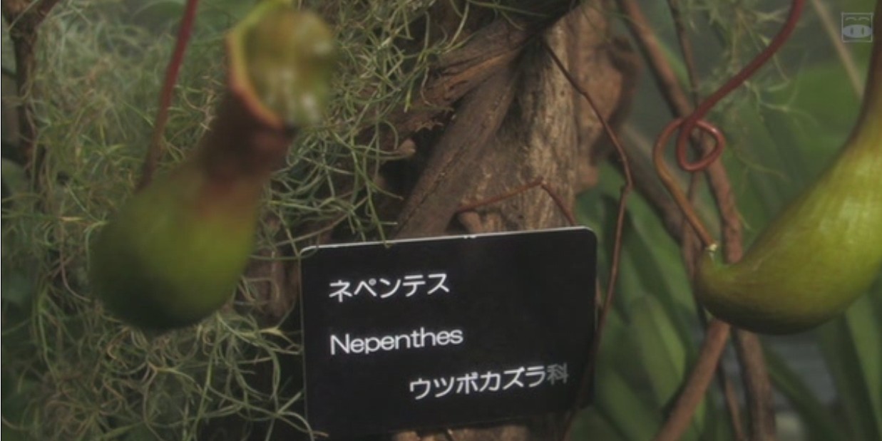 转转剧照的剧照