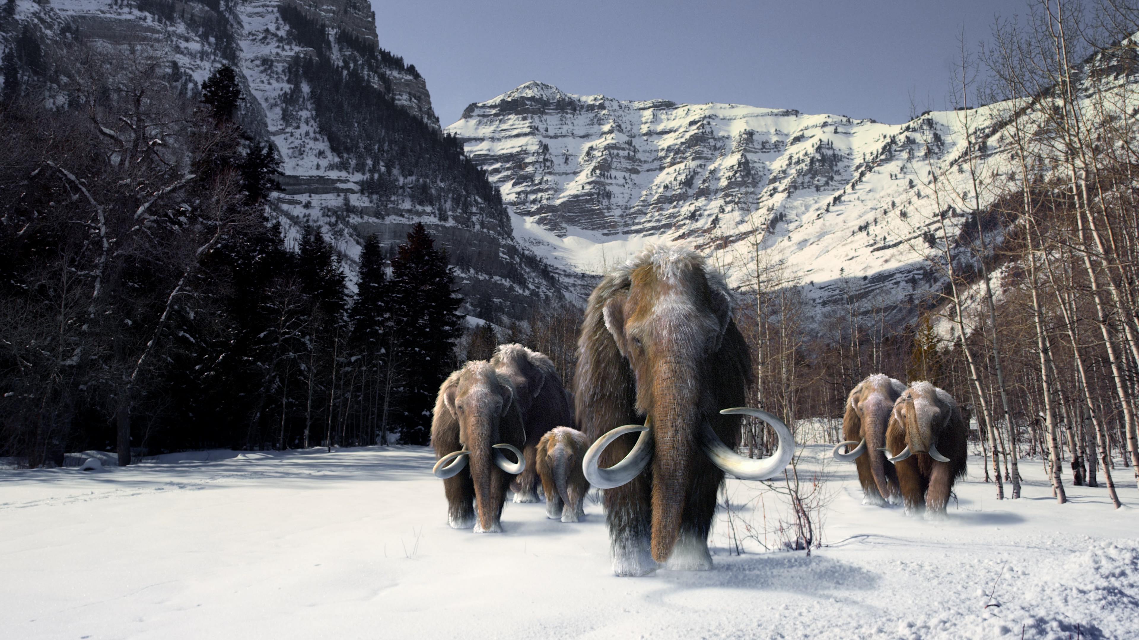 冰河时代的巨人剧照的剧照