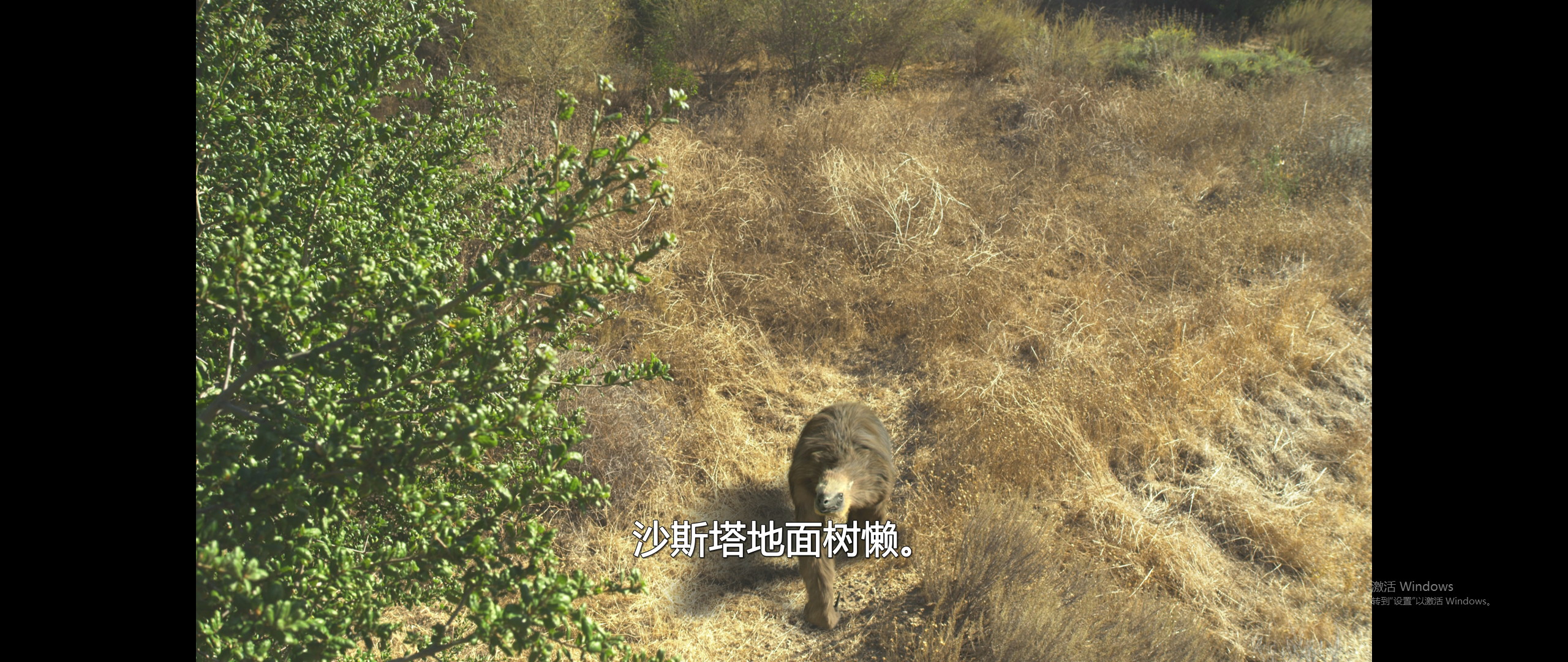 冰河时代的巨人剧照的剧照