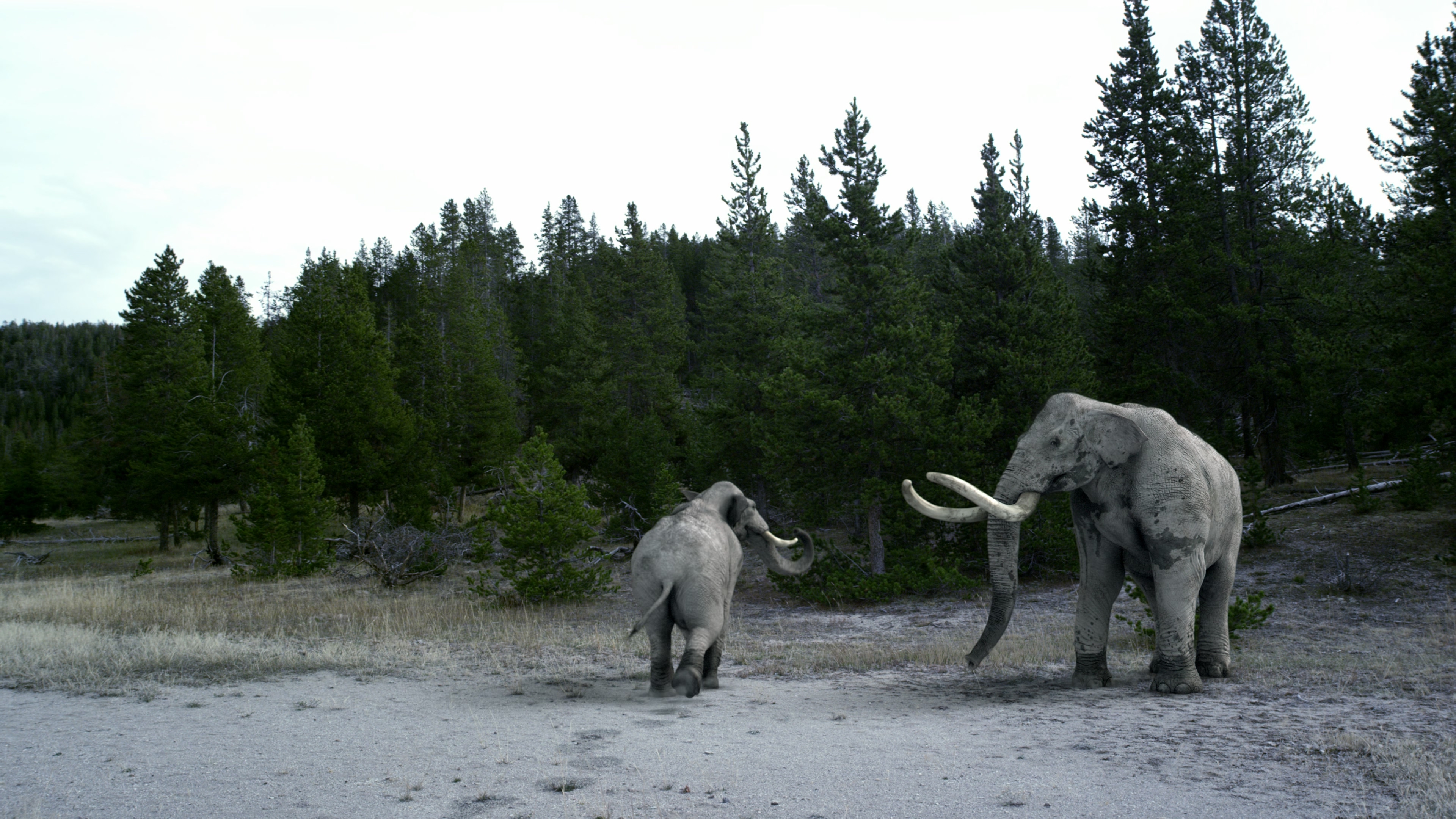 冰河时代的巨人剧照的剧照