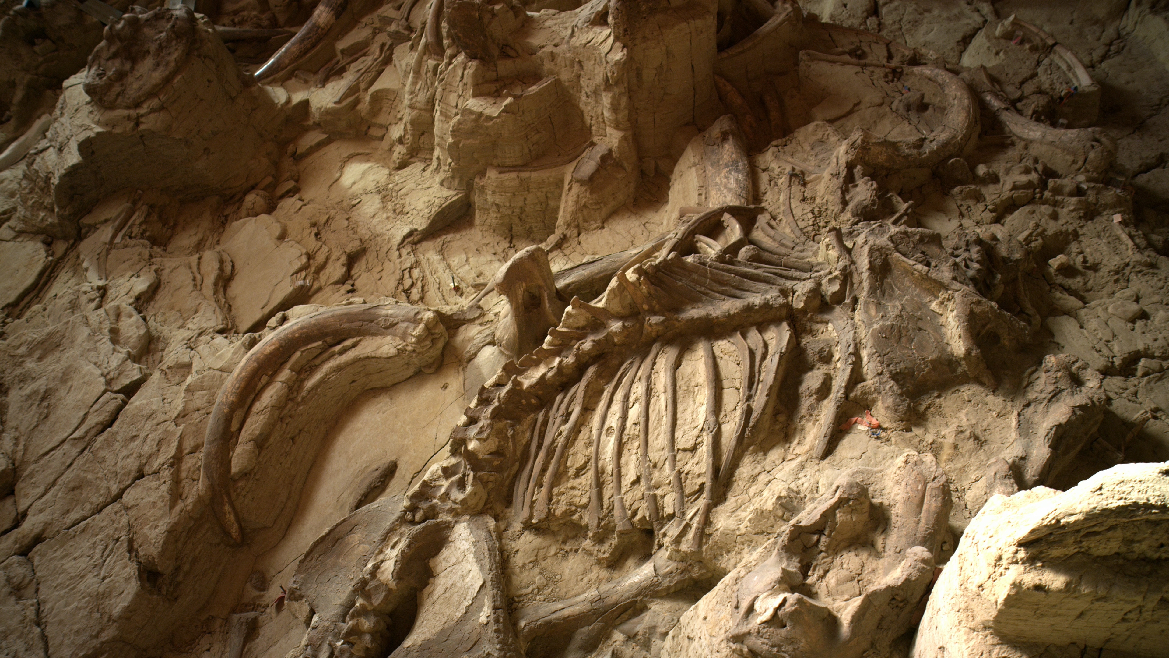 冰河时代的巨人剧照的剧照