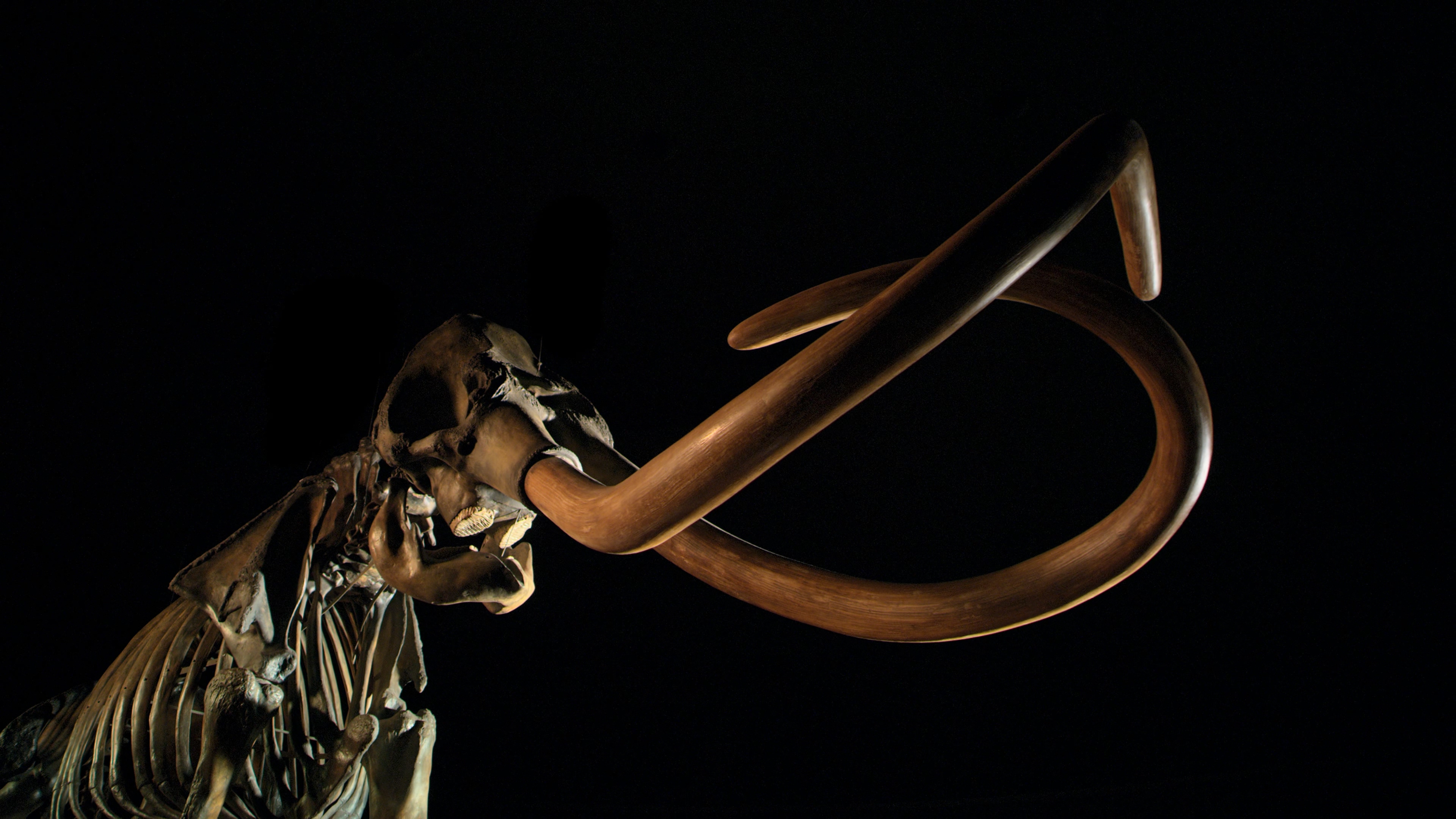 冰河时代的巨人剧照的剧照