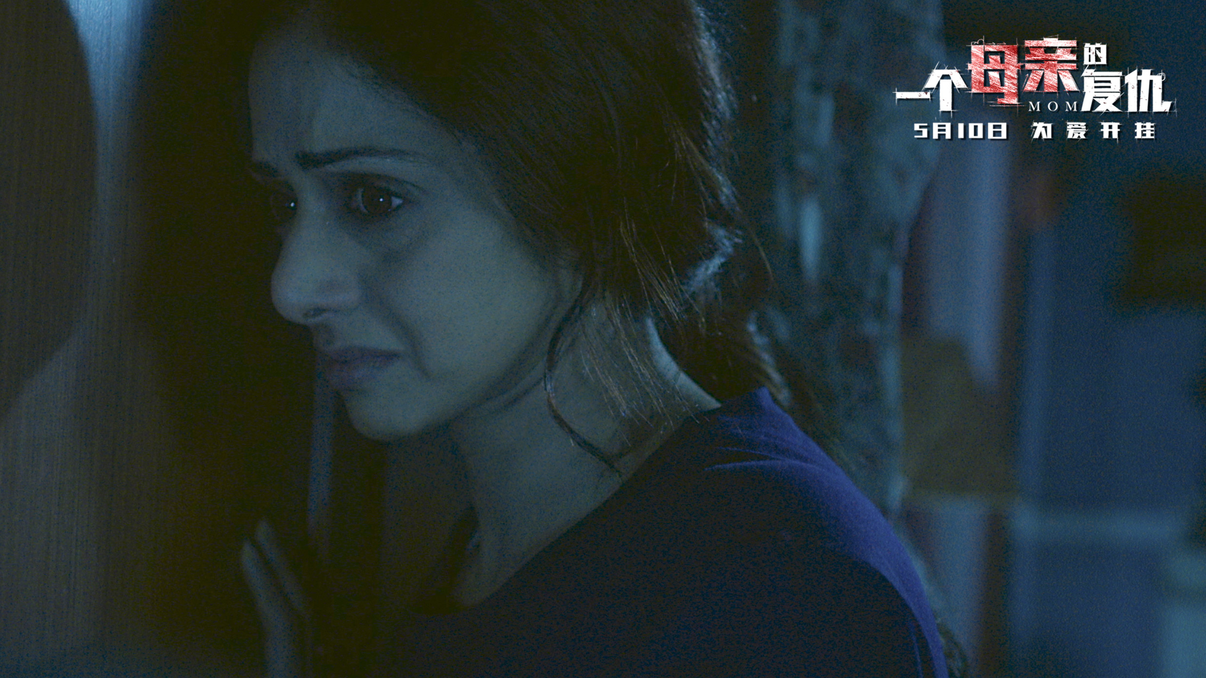 一个母亲的复仇剧照的剧照