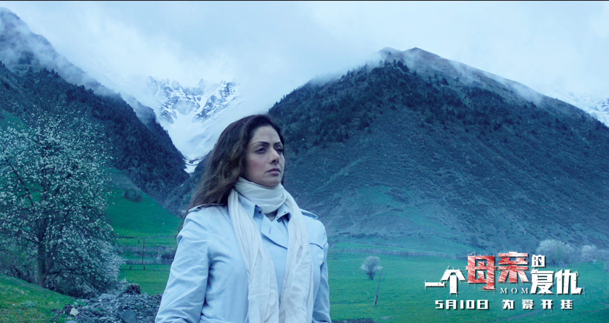 一个母亲的复仇剧照的剧照