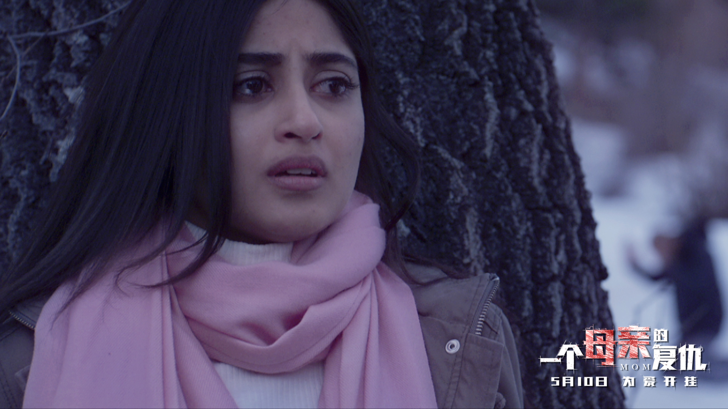 一个母亲的复仇剧照的剧照