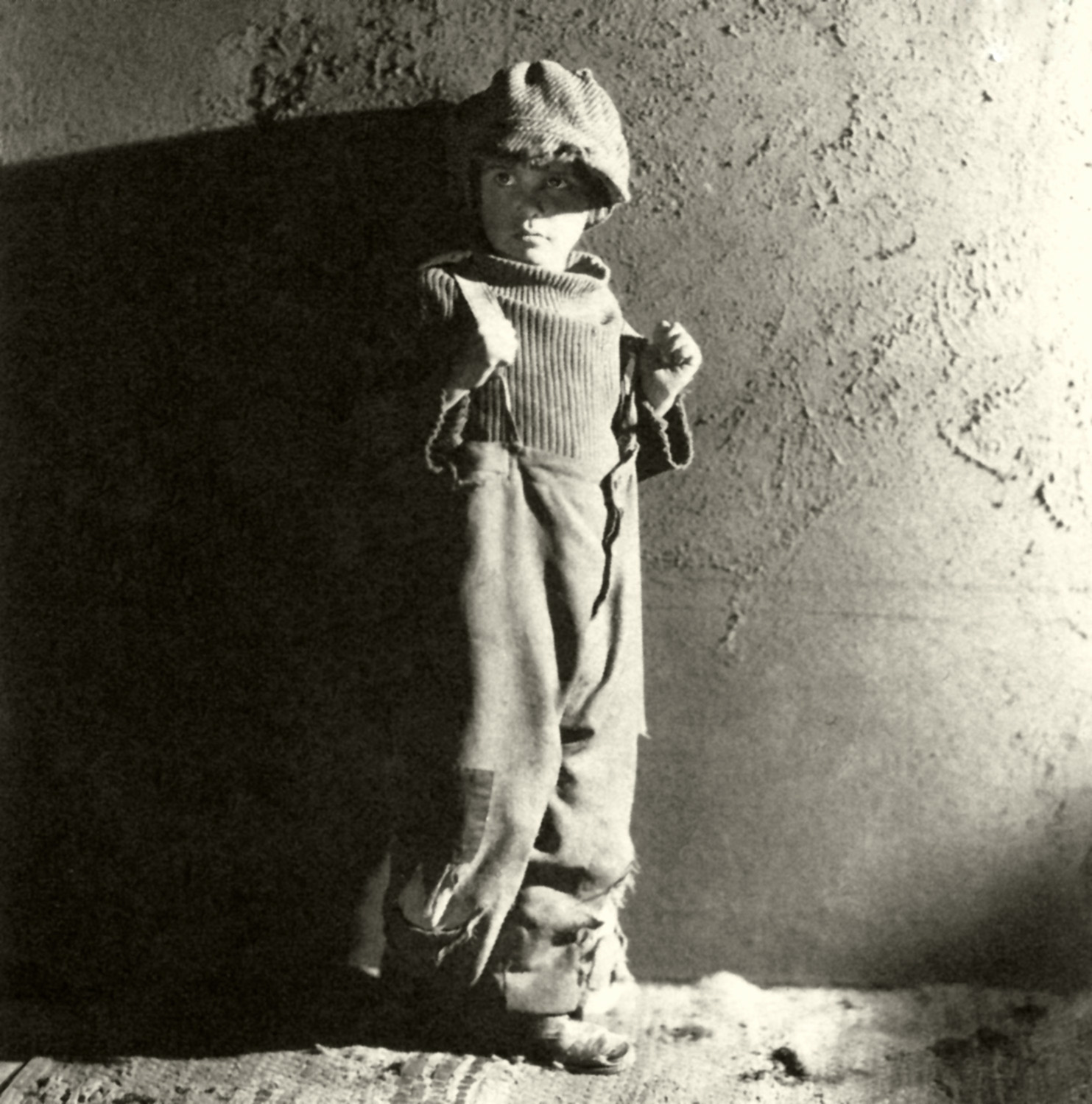 寻子遇仙记剧照的剧照