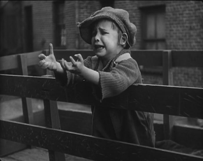 寻子遇仙记剧照的剧照