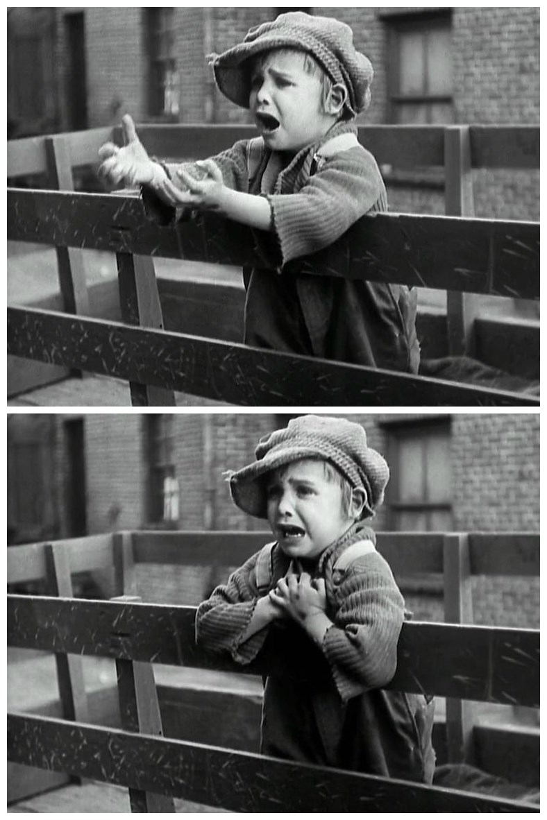 寻子遇仙记剧照的剧照