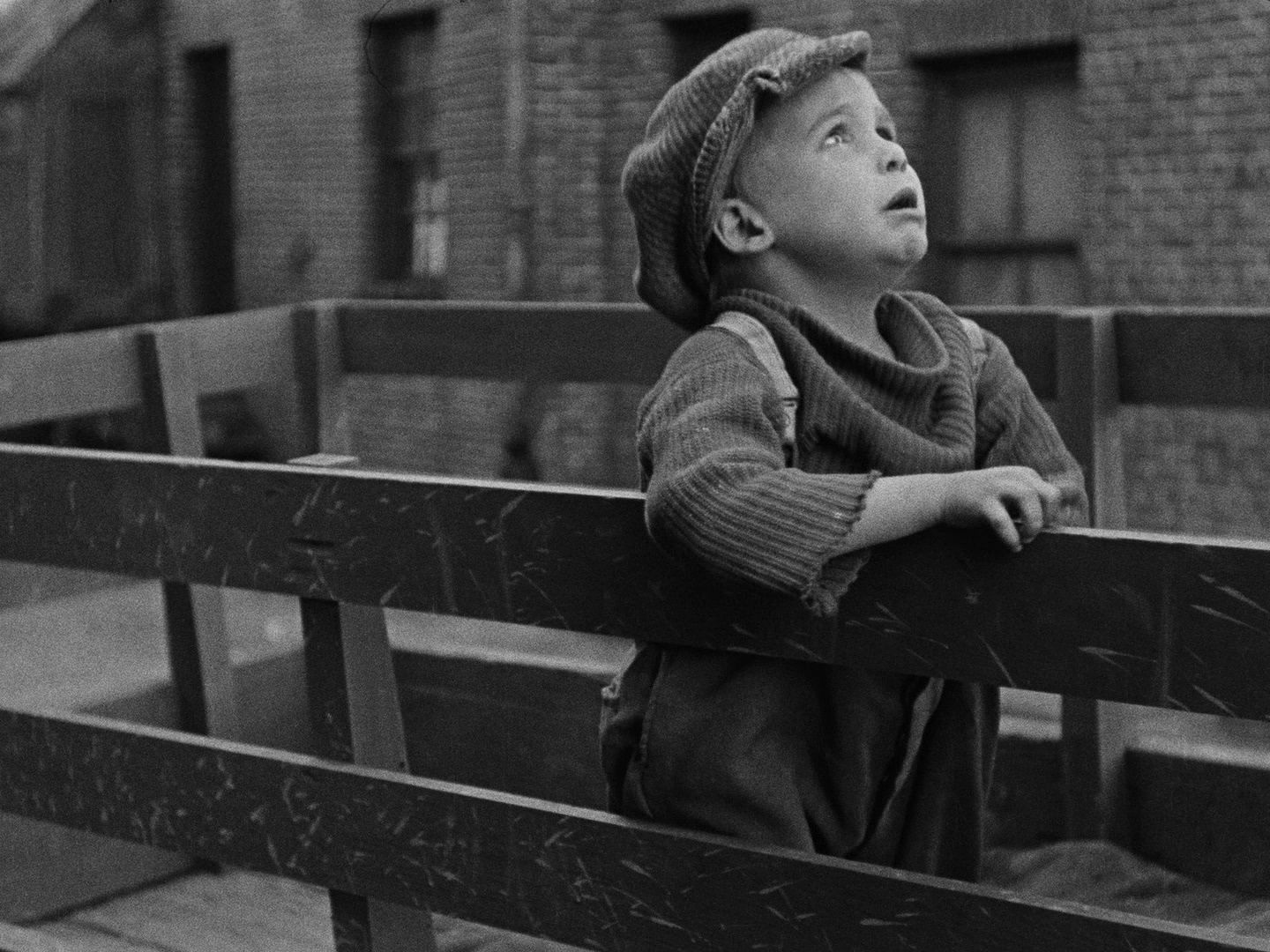 寻子遇仙记剧照的剧照